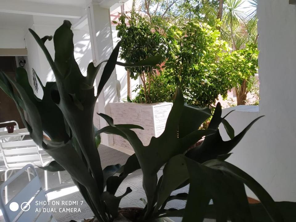 Hosteria Uruguay Piriápolis Εξωτερικό φωτογραφία
