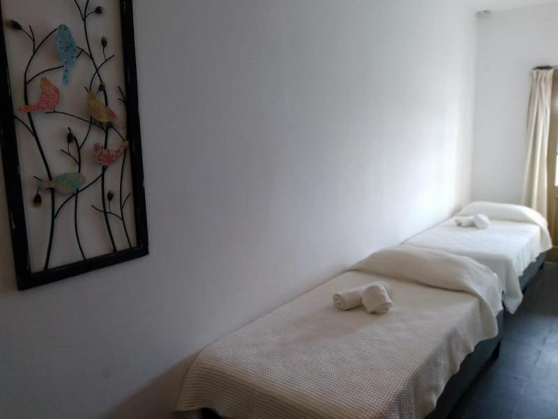 Hosteria Uruguay Piriápolis Εξωτερικό φωτογραφία