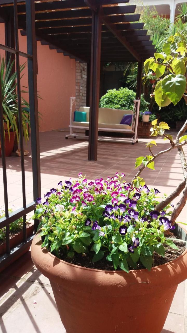 Hosteria Uruguay Piriápolis Εξωτερικό φωτογραφία